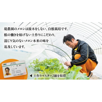 【先行受付】 2026年5月下旬以降発送 ほのか メロン 秀品 赤肉 4玉～5玉 [AV001ya]