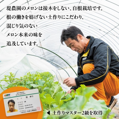 【先行受付】 2026年5月下旬以降発送 ほのか メロン 秀品 赤肉 4玉～6玉 [AV001ya]