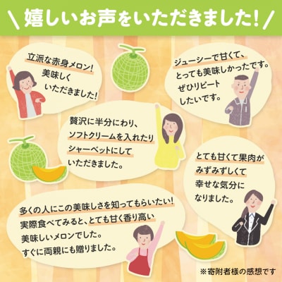 【先行受付】 2026年5月下旬以降発送 ほのか メロン 秀品 赤肉 4玉～6玉 [AV001ya]