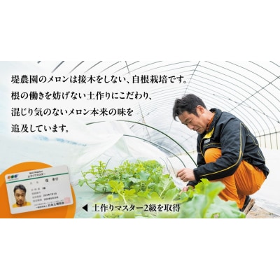 【先行受付】2026年5月下旬以降発送 ほのかメロン 秀品(赤肉)2玉 メロン  [AV005ya]