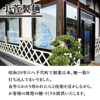 【工場直送】 拉麺漫遊記 生ラーメン 10食セット 醤油スープ付き [CV001ya]