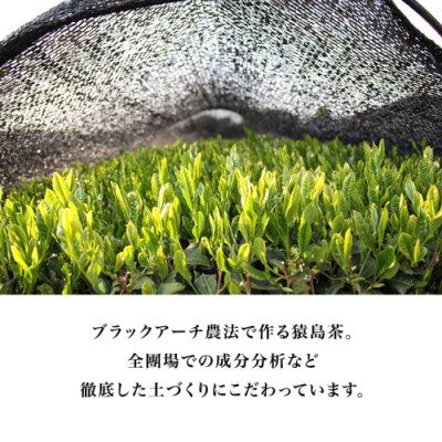 猿島茶使用 アイス ジェラート 8個入 詰め合わせ ギフト お菓子 お祝い [AF067ya]