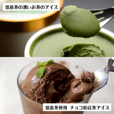 猿島茶使用 アイス ジェラート 7個入 2種食べ比べ 濃いお茶 チョコ和紅茶 [AF110ya]