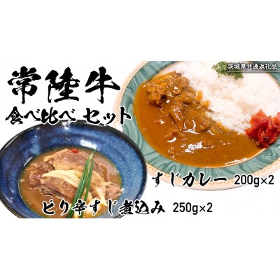 【茨城県共通返礼品】常陸牛すじカレー 200g×2 ピリ辛すじ煮込み 250g×2[AU105ya]