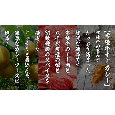 【茨城県共通返礼品】常陸牛すじカレー 200g×2 ピリ辛すじ煮込み 250g×2[AU105ya]