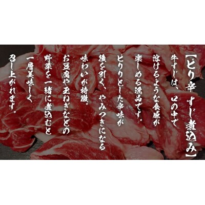 【茨城県共通返礼品】常陸牛すじカレー 200g×2 ピリ辛すじ煮込み 250g×2[AU105ya]