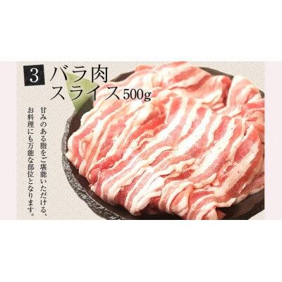 【茨城県共通返礼品/行方市】 美明豚 バラエティーセット 約1,780g  [CF001ya]