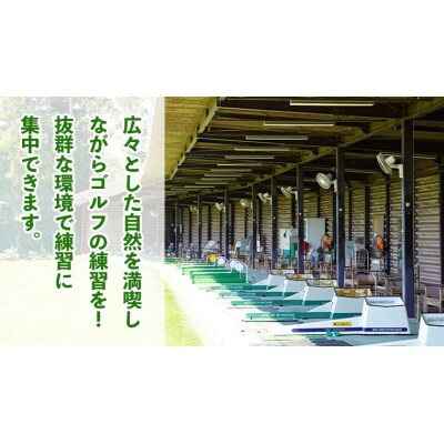 ゴルフ練習場回数券 11回券(550球) メンバー用  [CD002ya]