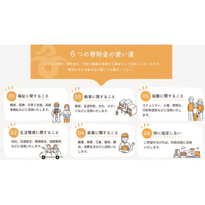 【 返礼品なし 】茨城県 八千代町 ふるさと応援寄付金 ( 3,000円 ) [ZZ002ya]