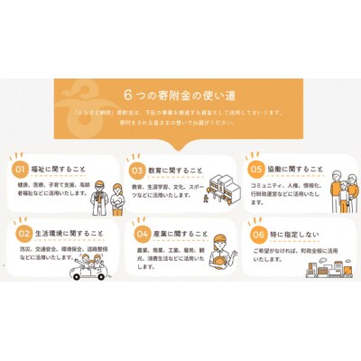 【 返礼品なし 】茨城県 八千代町 ふるさと応援寄付金 ( 5,000円 ) [ZZ003ya]