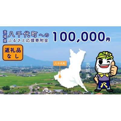 【 返礼品なし 】茨城県 八千代町 ふるさと応援寄付金 ( 100,000円 ) [ZZ006ya]