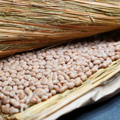 国産大豆にこだわった「横島醤油納豆」の大豆製品詰め合わせ A [AO017ya]