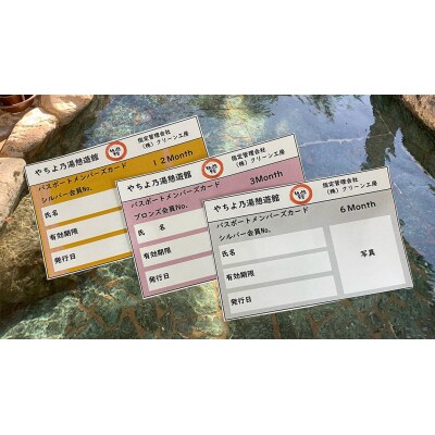 八千代グリーンビレッジ「やちよ乃湯 憩遊館」 温泉 入浴 パスポート(12ヶ月) [AN016ya]