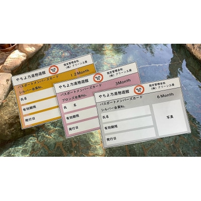 八千代グリーンビレッジ「やちよ乃湯 憩遊館」 温泉 入浴 パスポート(12ヶ月) [AN016ya]