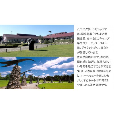 八千代グリーンビレッジ「やちよ乃湯 憩遊館」 温泉 入浴 パスポート(12ヶ月) [AN016ya]