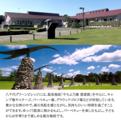 八千代グリーンビレッジ「やちよの湯 憩遊館」温泉 入浴 回数券(20枚 [AN015ya]