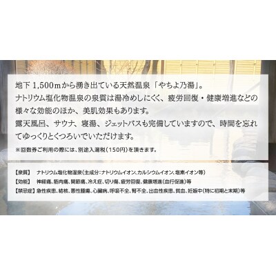 八千代グリーンビレッジ 「 やちよ乃湯 憩遊館 」 温泉 入浴 回数券(10枚) [AN014ya]