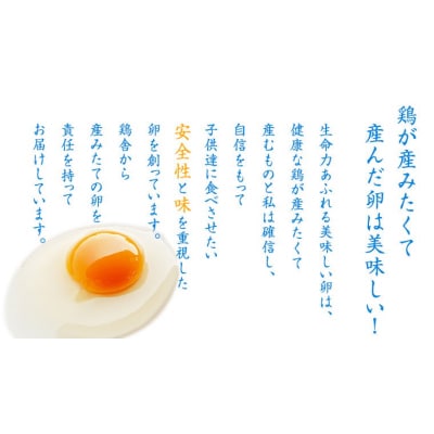 鶏卵 30個 ( 26個 + 破損補償分 4個 ) 卵 たまご 玉子 [CZ001ya]