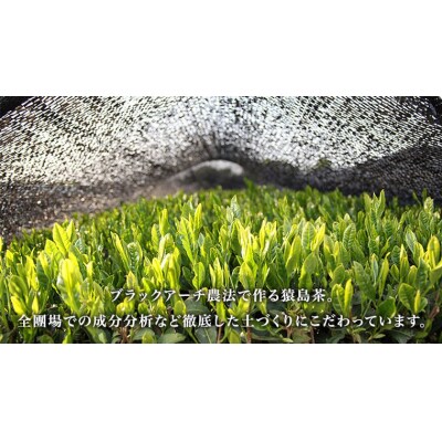 生あら茶 ( 85g × 4袋 )【 合計 340g 】 お茶 緑茶 茨城県 [AF101ya]