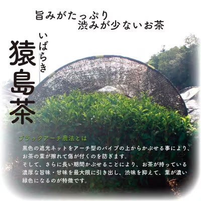 猿島茶濃いお茶 アイス 5個入 アイスクリーム ギフト スイーツ お菓子 詰合せ [AF034ya]