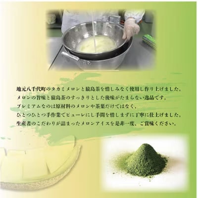 猿島茶使用 八千代町産 タカミメロン アイス 5個入 アイスクリーム ギフト [AF061ya]