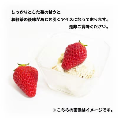 猿島茶使用 いちご 和紅茶 アイス 5個入 アイスクリーム ギフト スイーツ [AF083ya]