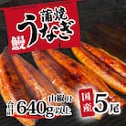 訳あり 国産うなぎ 蒲焼き 5尾 640g以上 大きさ不揃い 山椒付き うな重 ひつまぶし