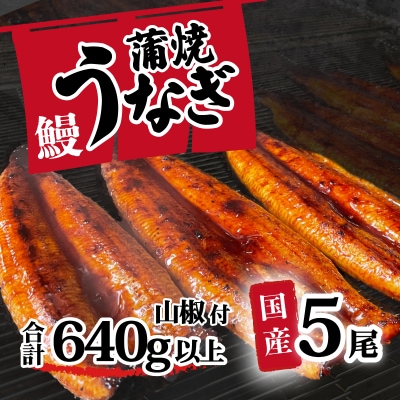 訳あり 国産うなぎ 蒲焼き 5尾 640g以上 大きさ不揃い 山椒付き うな重 ひつまぶし