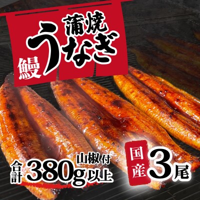 訳あり 国産うなぎ 蒲焼き 3尾 380g以上 大きさ不揃い 山椒付き