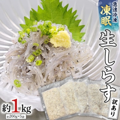 【訳あり】冷凍 生しらす 約1kg 新鮮 小分け 国産 刺身 真空パック凍眠 [AU131ya]
