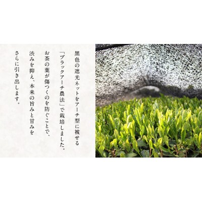 ほうじ茶 豆乳 ぷりん 5個セット 茨城県 さしま茶 プリン スイーツ 猿島茶 [AF125ya]