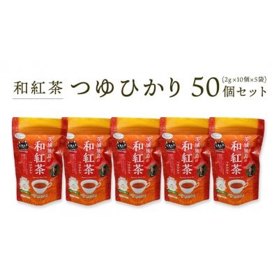 和紅茶 つゆひかり 50個 セット ( 2g × 10個 × 5個 ) [AF003ya]