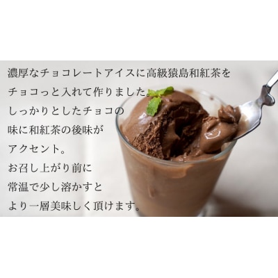 猿島茶使用 チョコ和紅茶 アイス 5個入 アイスクリーム ギフト スイーツ 詰合せ[AF108ya]