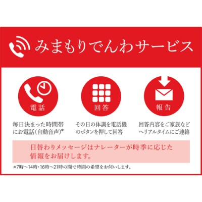 郵便局のみまもりでんわサービス(固定電話コース6か月) [BR005ya]