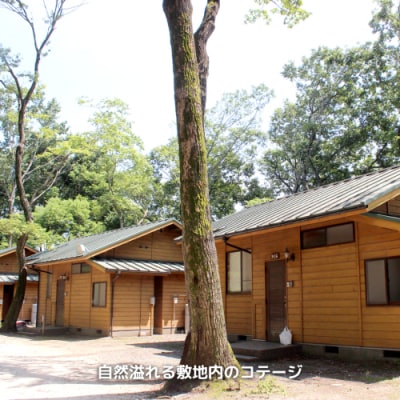 八千代グリーンビレッジ コテージ 8人棟 平日宿泊 温泉入浴券 お買物券 セット [AN009ya]