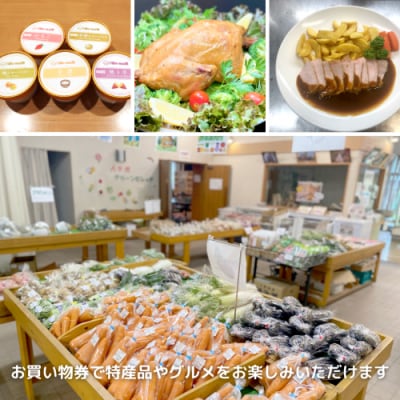 八千代グリーンビレッジ コテージ 8人棟 平日宿泊 温泉入浴券 お買物券 セット [AN009ya]