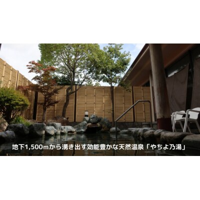 八千代グリーンビレッジ 温泉入浴 3回分 + 筑波流源湖  ヘラブナ釣り 3回分 [AN011ya]