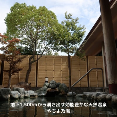 八千代グリーンビレッジ 温泉入浴 3回分 + 筑波流源湖  ヘラブナ釣り 3回分 [AN011ya]