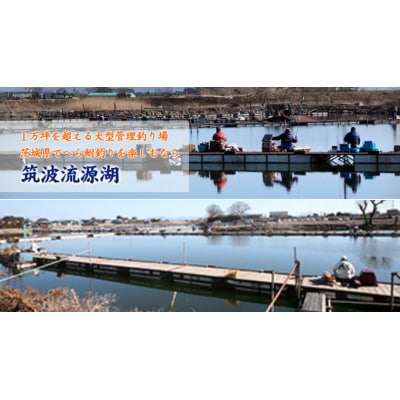 八千代グリーンビレッジ 温泉入浴 3回分 + 筑波流源湖  ヘラブナ釣り 3回分 [AN011ya]