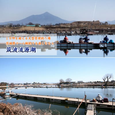 八千代グリーンビレッジ 温泉入浴 3回分 + 筑波流源湖  ヘラブナ釣り 3回分 [AN011ya]