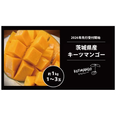 【2026年先行受付】完熟マンゴー 約1kg (1～3玉) キーツ マンゴー [CX006ya]