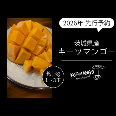 【2026年先行受付】完熟マンゴー 約1kg (1～3玉) キーツ マンゴー [CX006ya]