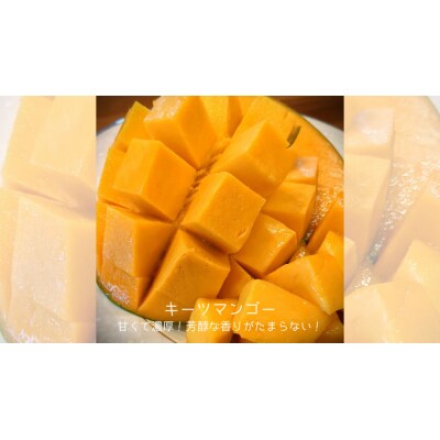 【2026年先行受付】完熟マンゴー 約1kg (1～3玉) キーツ マンゴー [CX006ya]