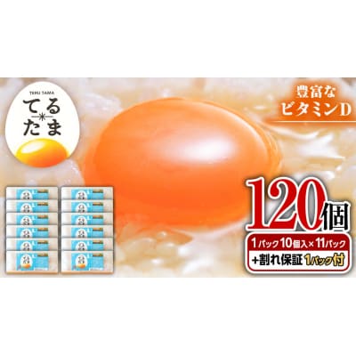 てるたま 白 10個入×11パック(割れ補償1パックサービス付)卵 [DA002ya]