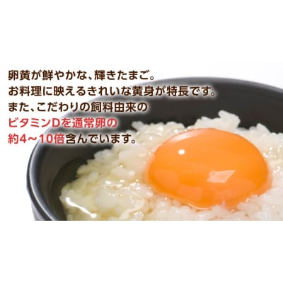てるたま 白 10個入×11パック(割れ補償1パックサービス付)卵 [DA002ya]