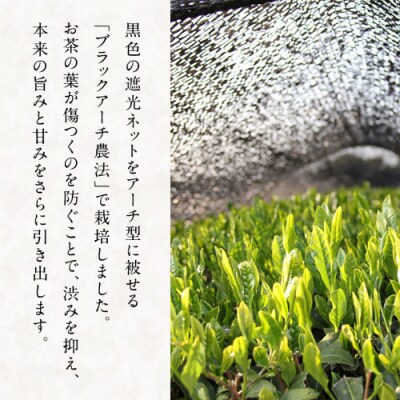 松田製茶 猿島茶 ティーバッグ 5種類 セット [AF124ya]