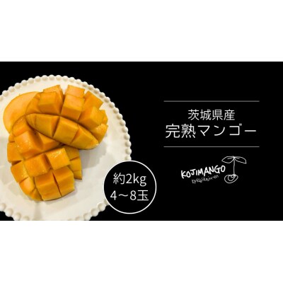 【先行受付】 完熟マンゴー 約 2kg ( 4～8玉 ) アーウィン マンゴー [CX003ya]