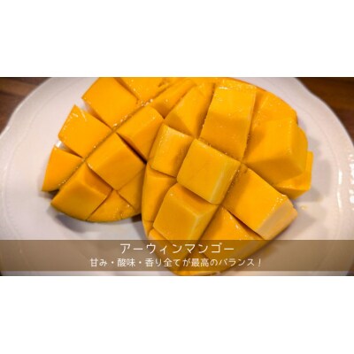 【先行受付】 完熟マンゴー 約 2kg ( 4～8玉 ) アーウィン マンゴー [CX003ya]