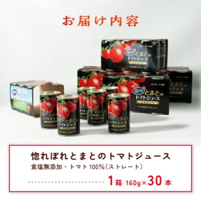 惚れぼれとまとの トマトジュース ( 無塩 ) 1箱 30本入 完熟トマト [AA010ya]
