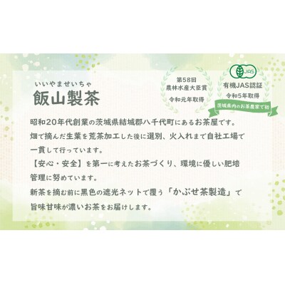 《簡単!便利!》急須のいらない粉末緑茶 [AE002ya]